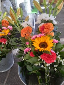IMG20261009074606